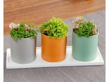 网文草绿地球组合盆栽