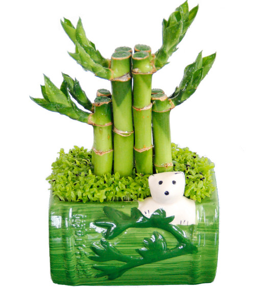 开运竹塔节节高