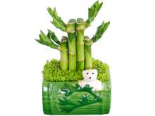 开运竹塔节节高