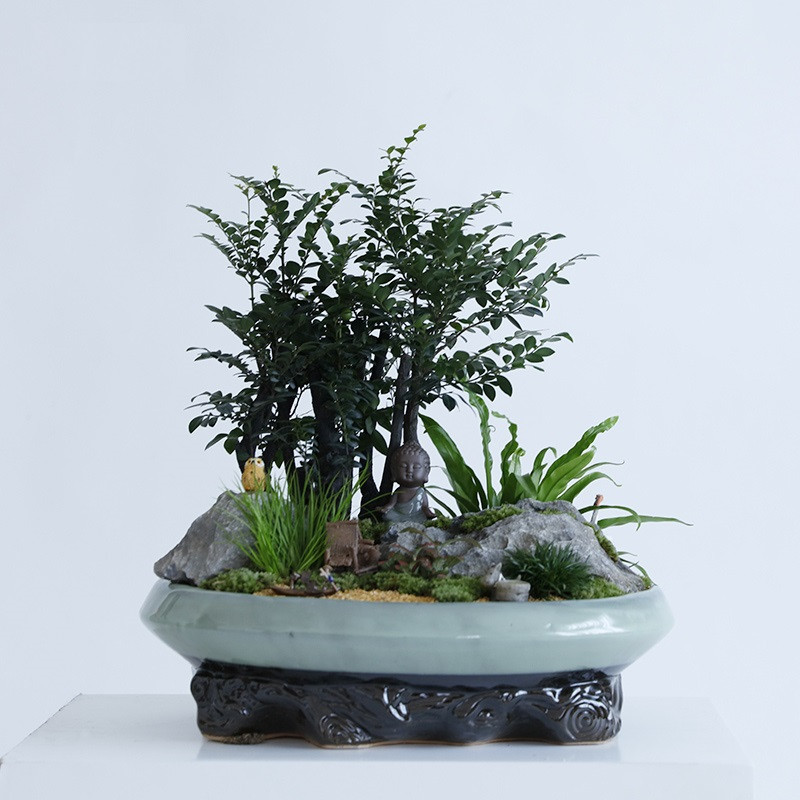 紫檀树上坐佛艺术盆景