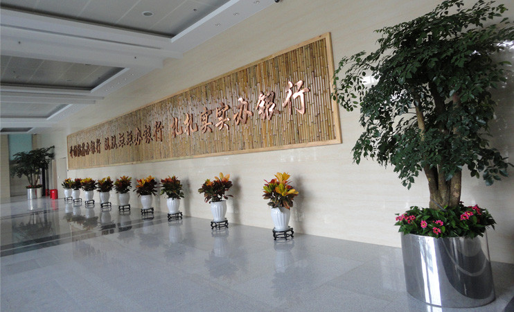 绿化租摆超值套餐B：500-1000元/月 30-60株