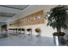 绿化租摆超值套餐B：500-1000元/月 30-60株