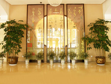 酒店绿植租摆案例
