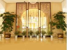酒店绿植租摆案例